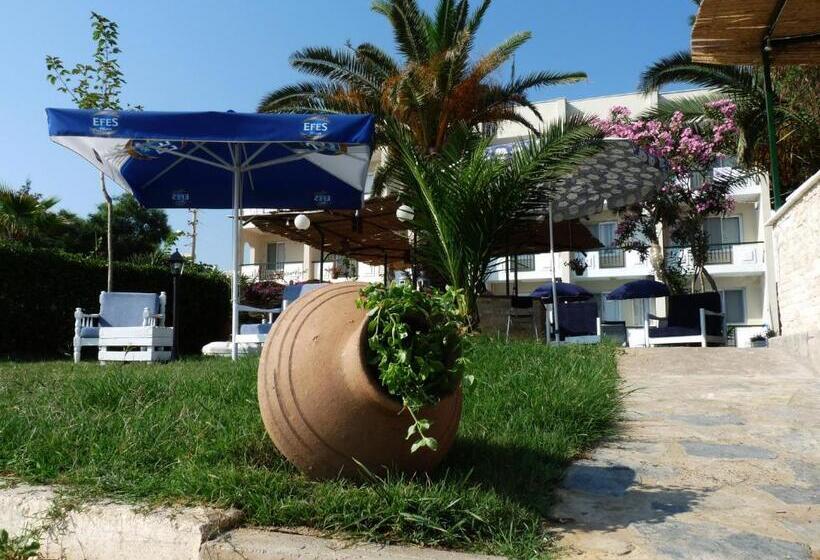בית מלון כפרי Palmiye