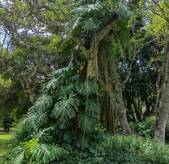 فندق Avoca Vale Country