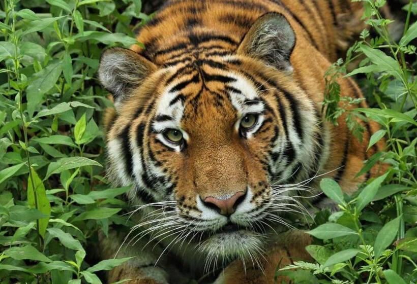 هتل Holiday Inn Express & Suites Eagan   Minneapolis Area, An Ihg