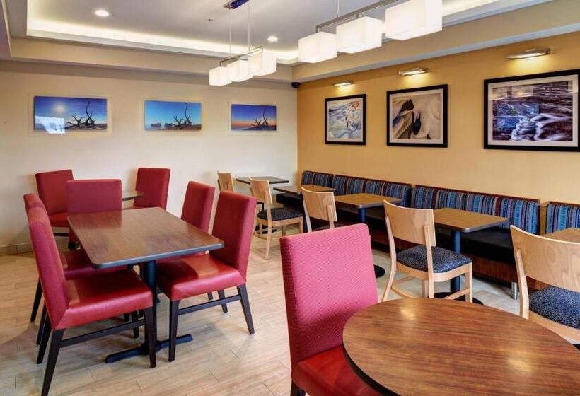 Отель Towneplace Suites By Marriott Detroit Troy