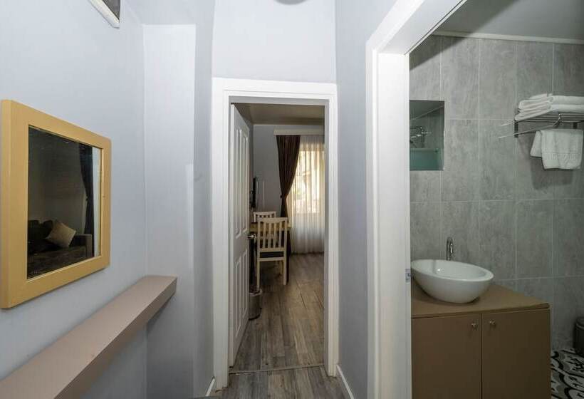בית מלון כפרי Cirrus Suites