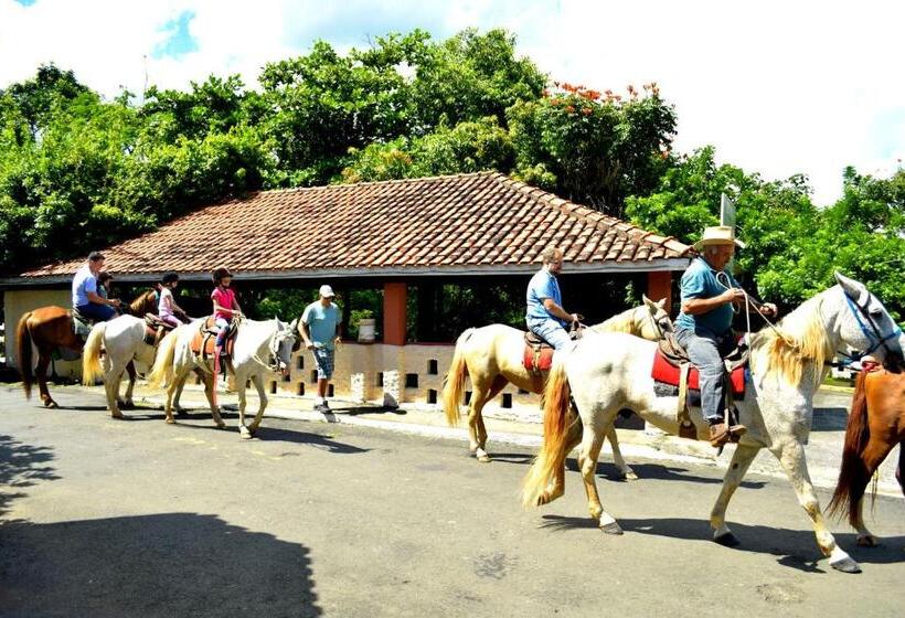 酒店 Fazenda Fonte Colina Verde