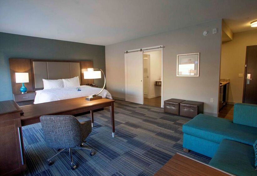 هتل Hampton Inn & Suites Downtown St. Paul