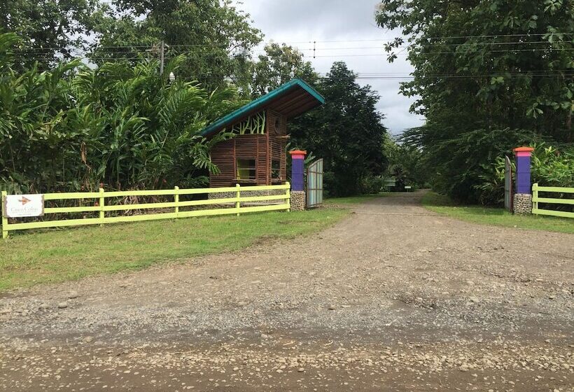 فندق Cinco Ceibas Lodge