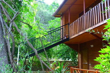 Cirali Simge Holiday Houses