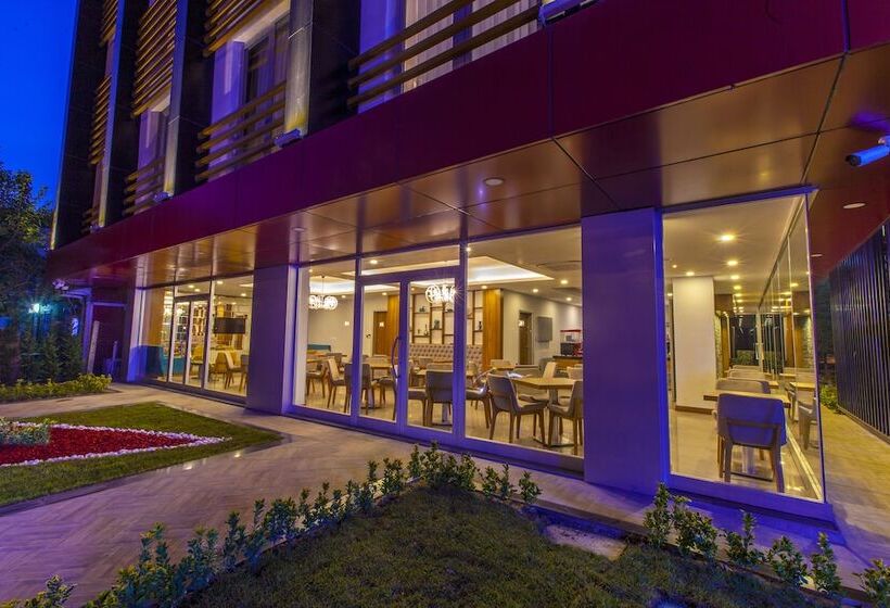 בית מלון כפרי Business Palas