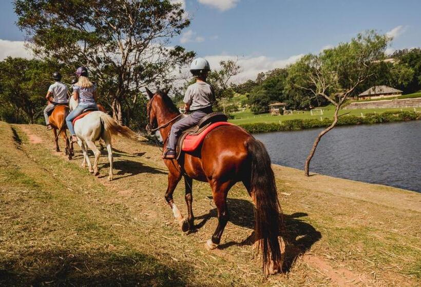 ホテル Fazenda Dona Carolina