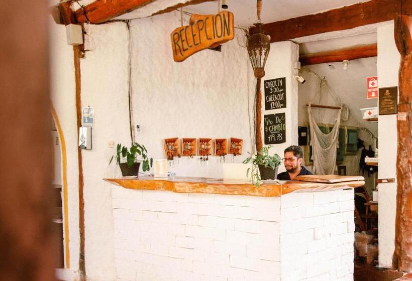 هتل Villas Margaritas Holbox