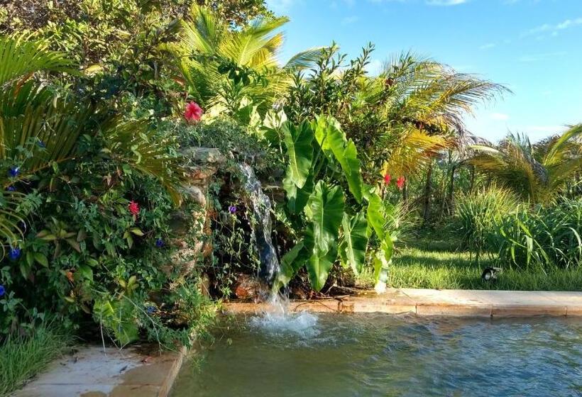 مبيت وإفطار Castelo Vendom Ecolodge Parajuru