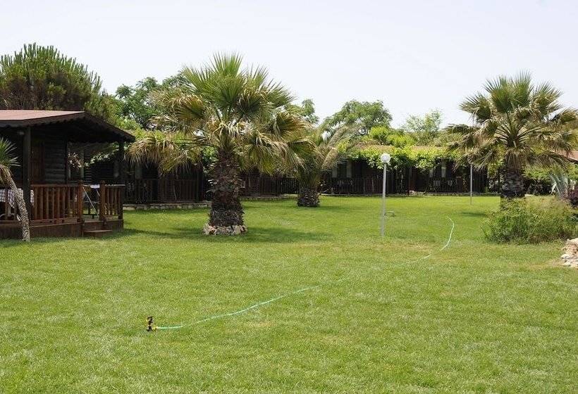 هتل Ataol Beach & Bungalows