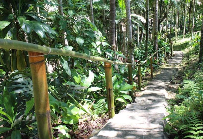 בית מלון כפרי Do Santuario