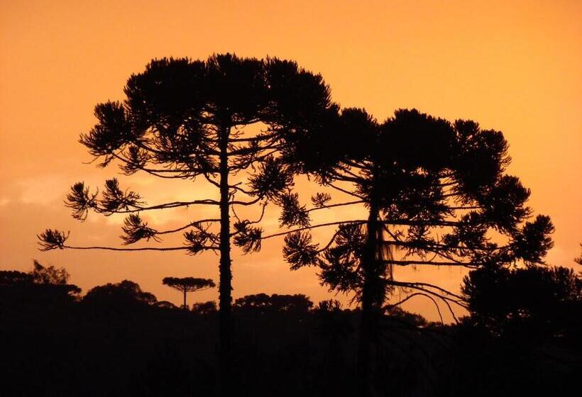 ホテル Pousada Das Araucarias