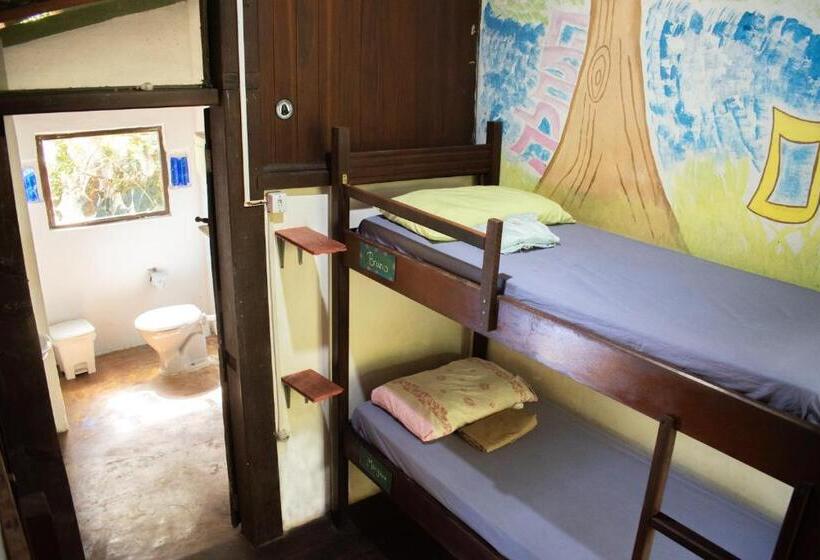 Lagarto Na Banana Hostel