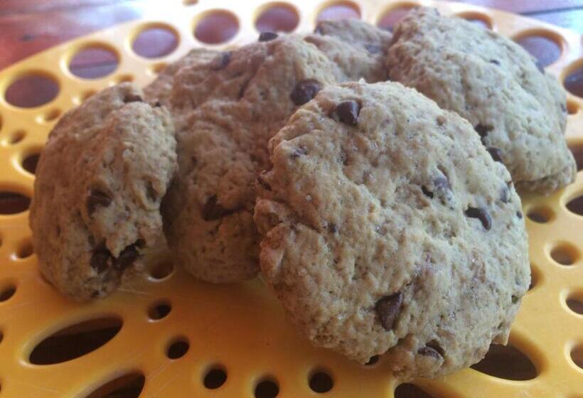 مبيت وإفطار Pousada Kite Guajiru