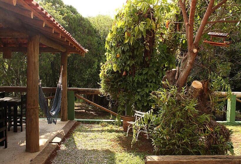 ユースホステル Guappo Socorro