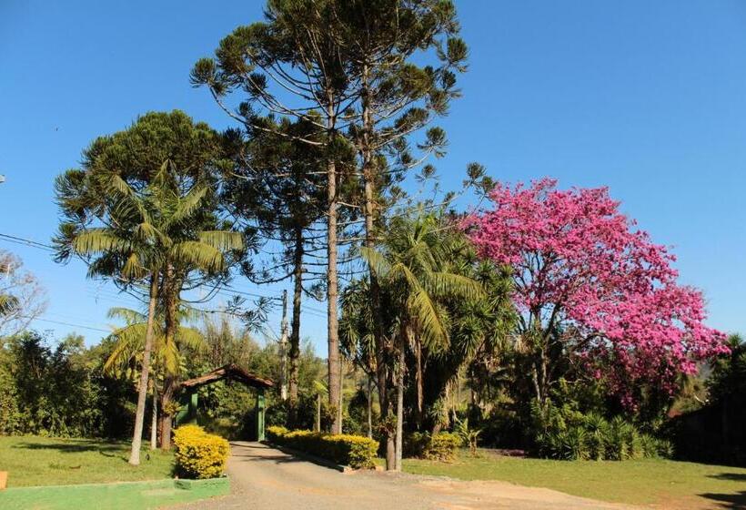 ユースホステル Guappo Socorro