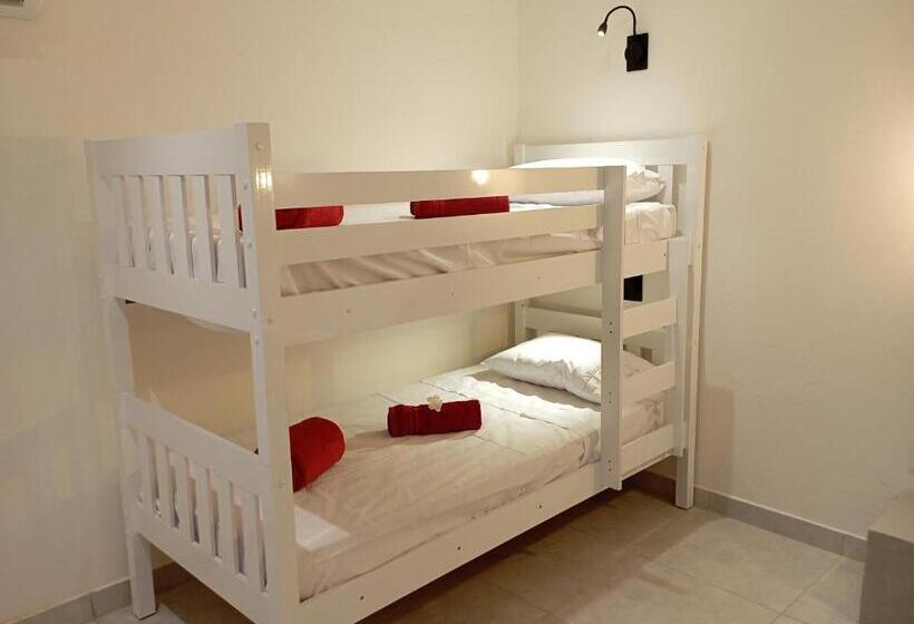 مبيت وإفطار Pousada Casa Do Cocotier
