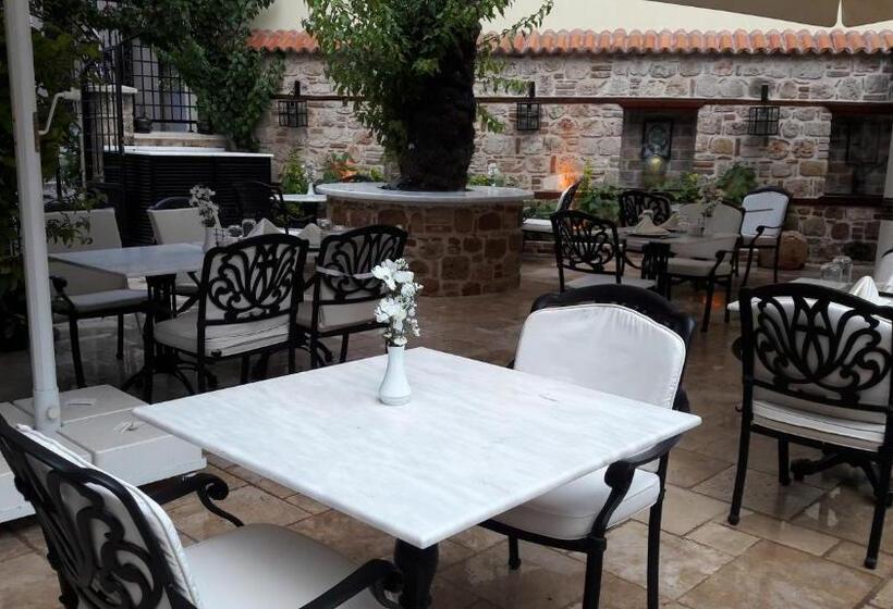 هتل 1207 Special Class