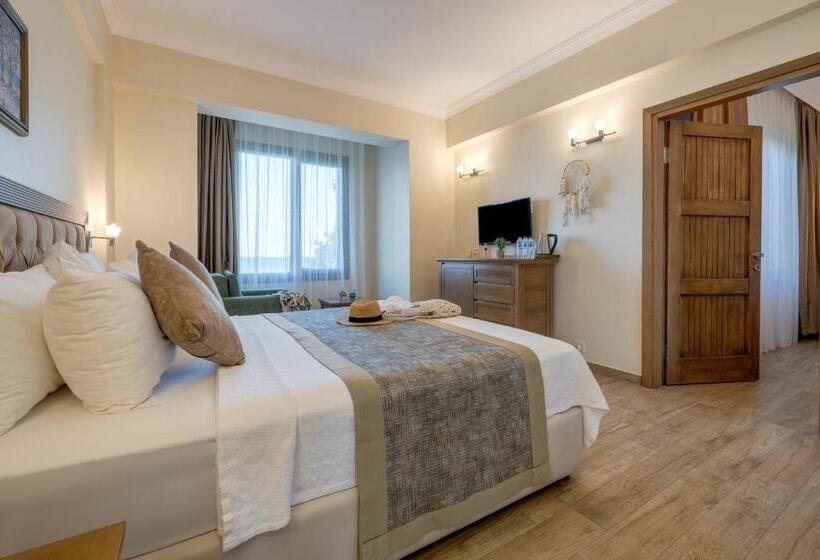 هتل Cinarli Kasri