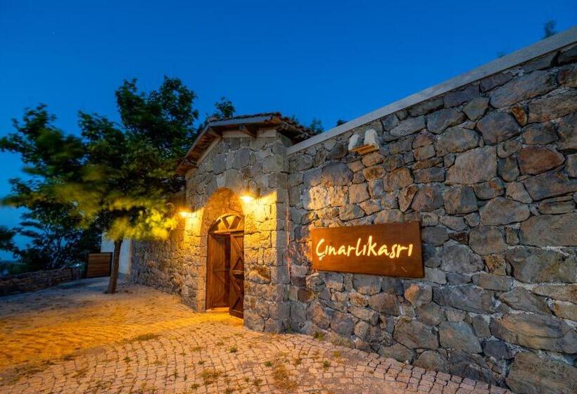 هتل Cinarli Kasri