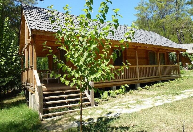هتل Olympos Village
