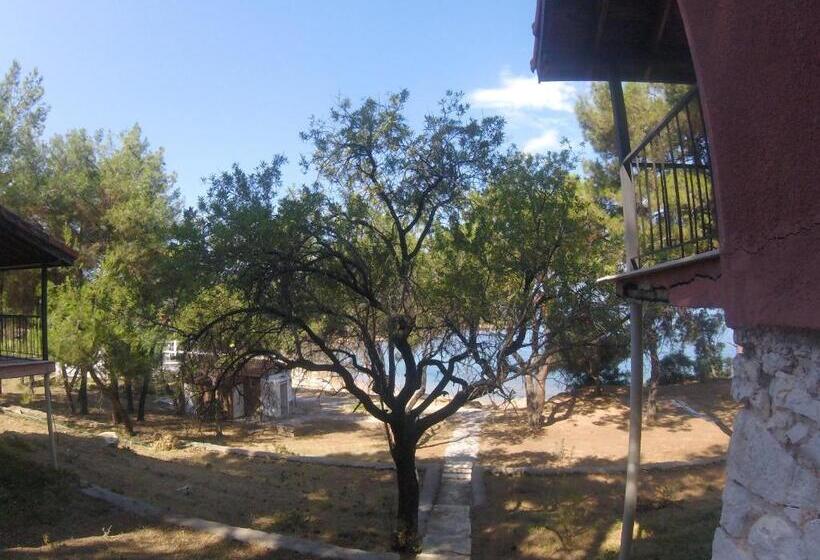 ホテル Rainbow Bay Ozdere Beach