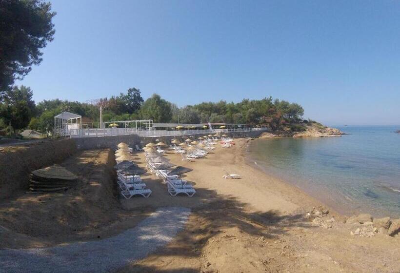 ホテル Rainbow Bay Ozdere Beach