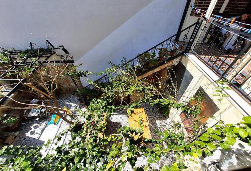 تختخواب و صبحانه Ali Baba's House