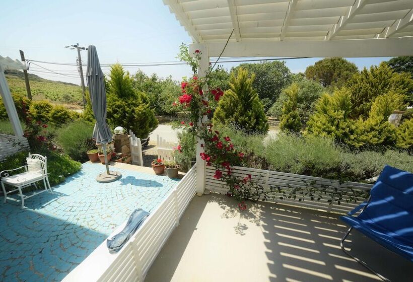 تختخواب و صبحانه Aspasia House