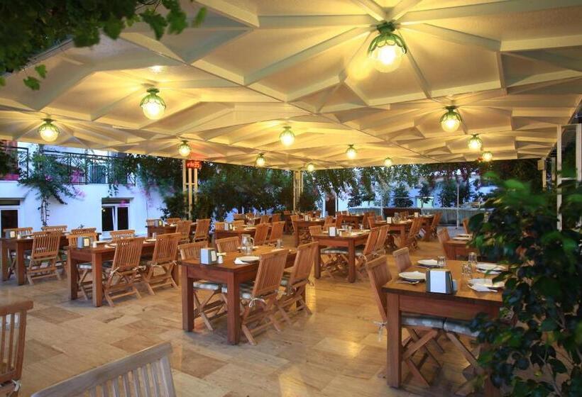 فندق Catamaran