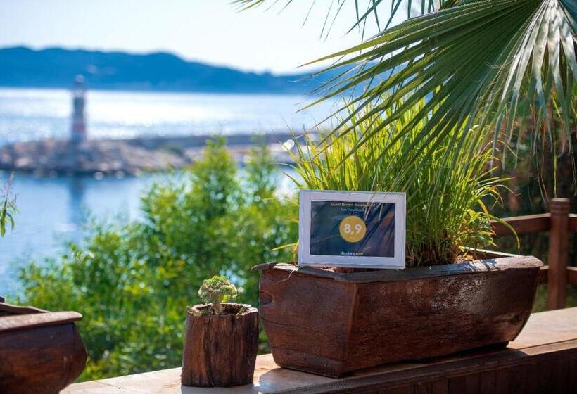 هتل Sea View