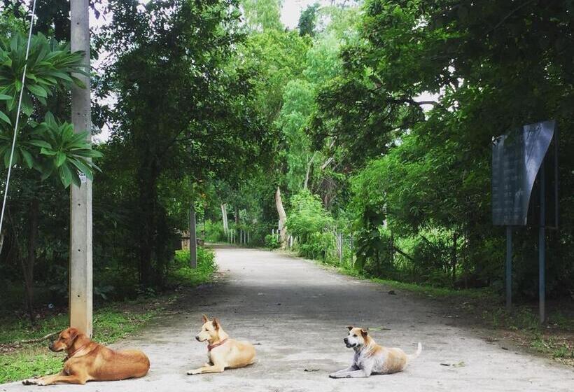 تختخواب و صبحانه Foresta Villa