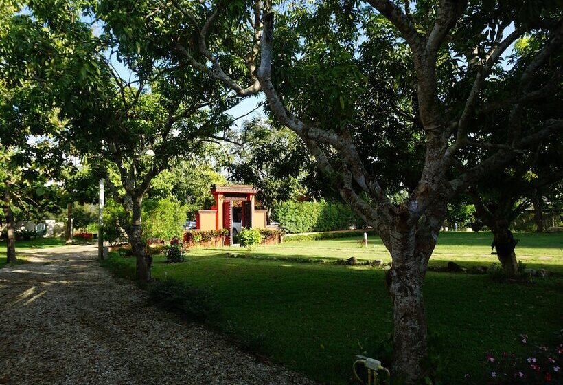 تختخواب و صبحانه Gumbie House