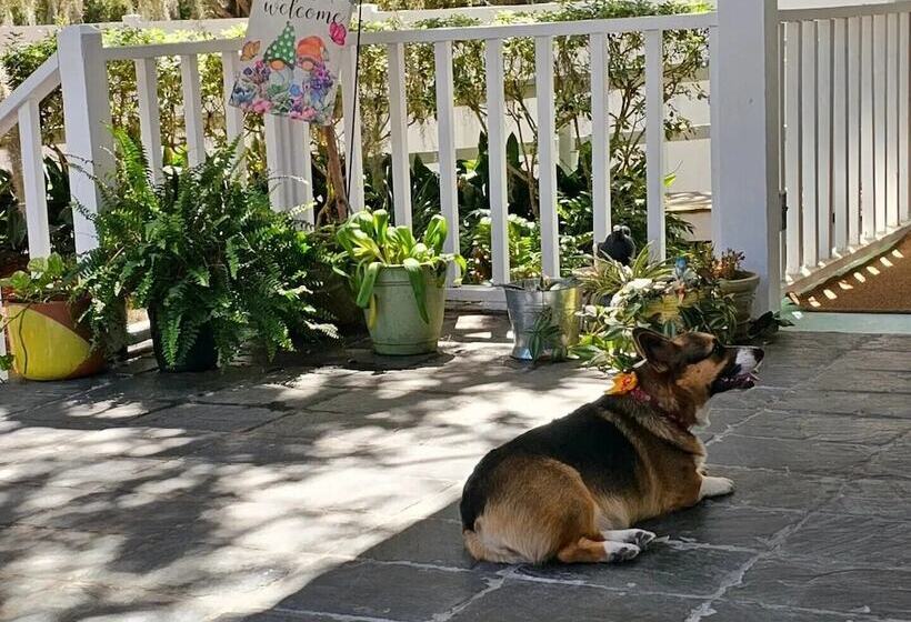 تختخواب و صبحانه Tybee Island Inn