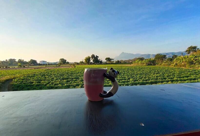 تختخواب و صبحانه Bua Patumma Resort