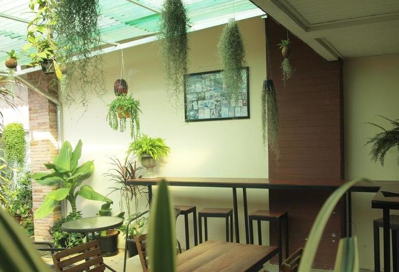 تختخواب و صبحانه Maesai Holic Lodge