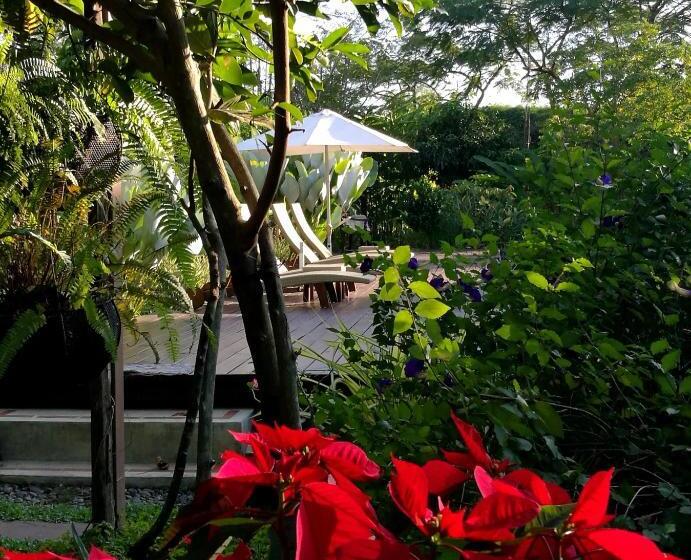 تختخواب و صبحانه Villa Albizia, Chiang Mai
