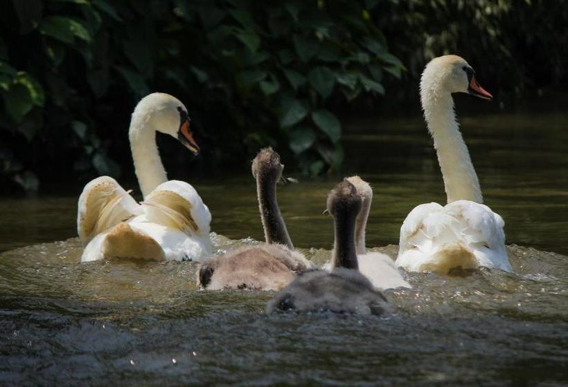 هتل Saint Paul Accommodation