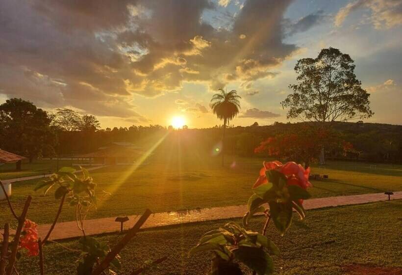 リゾートホテル Sertão Veredas Hotel Fazenda