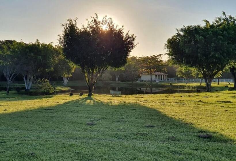 リゾートホテル Sertão Veredas Hotel Fazenda
