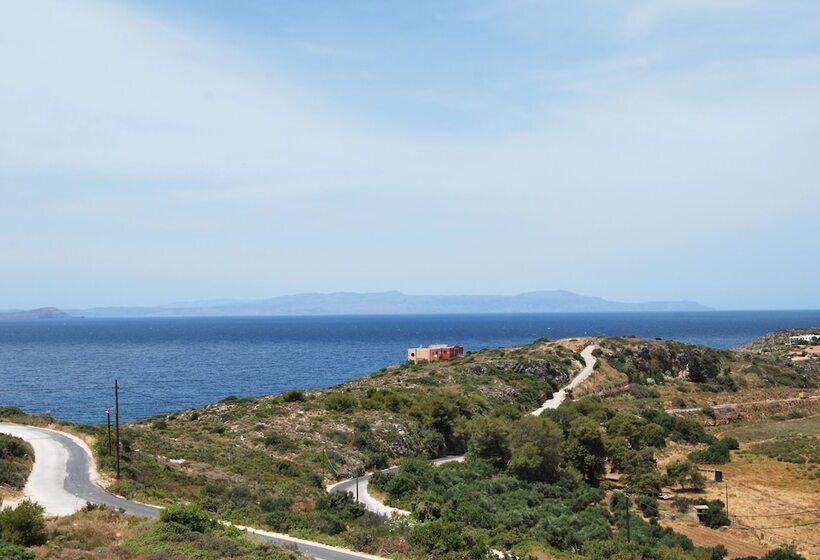 Chrysiida Suites
