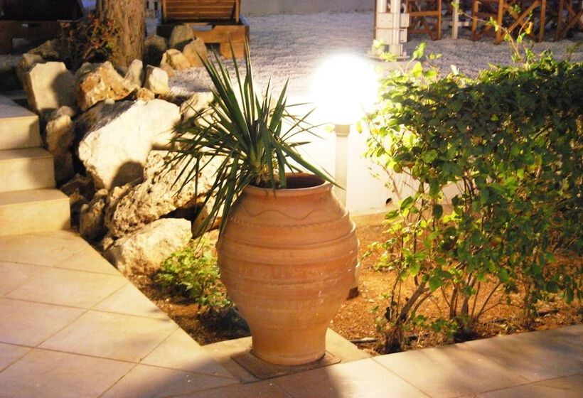 Chrysiida Suites