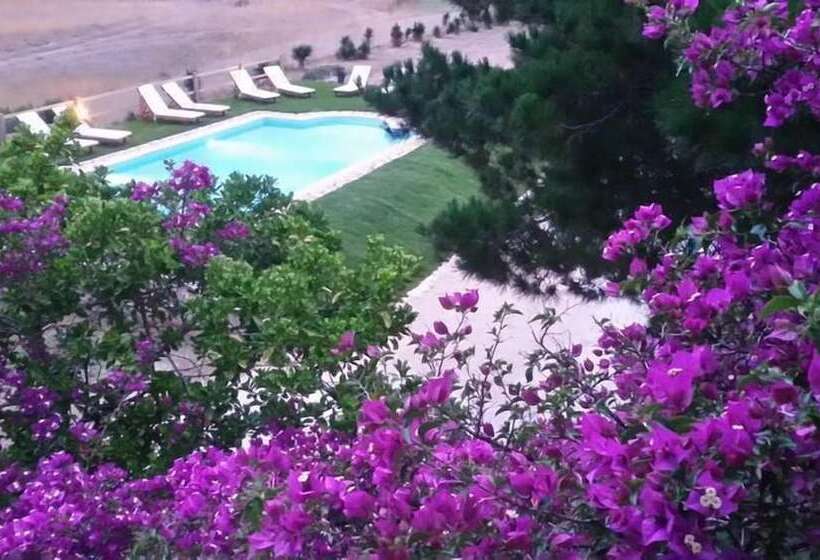 Elli Beach Apartments And Studios