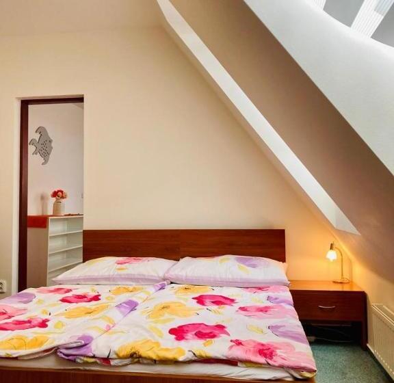 酒店 Apartmány, Penzion, Wellness U Zlaté Rybky