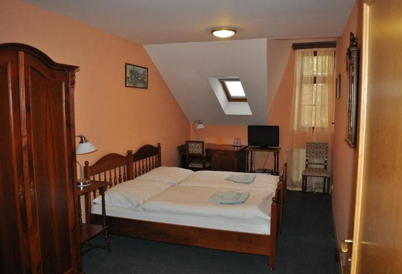 هتل Garni Na Havlíčku