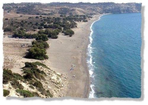فندق Alexander Beach