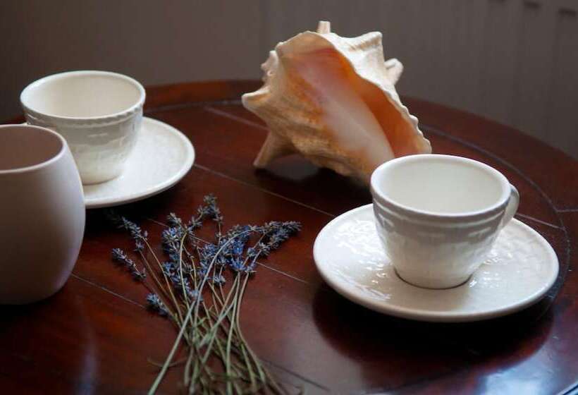 فندق Babiččina Zahrada Penzion & Restaurant