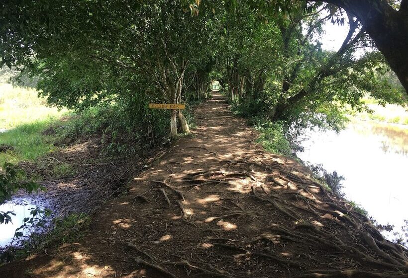 فندق Caño Negro Wetlands Lodge