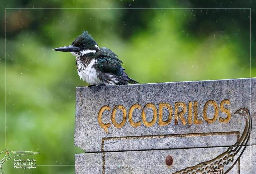 בית מלון כפרי De Campo Caño Negro