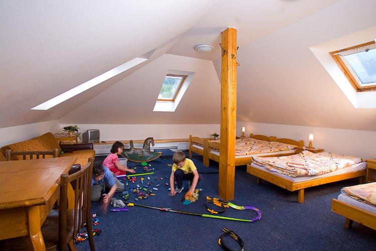 酒店 Pension Samohel